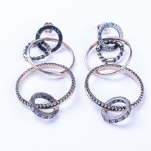 Load image into Gallery viewer, Rough&Roll Earrings